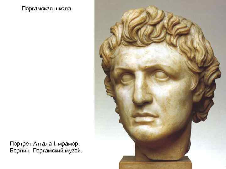 Пергамская школа. Портрет Аттала I. мрамор. Берлин, Пергамский музей. 