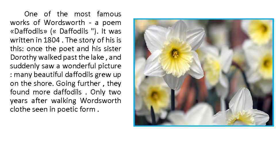 One of the most famous works of Wordsworth - a poem «Daffodils» ( «