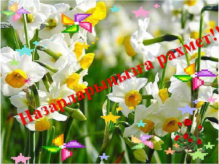 !! ет хм ра а зғ ңы ы ар л ар аз Н 