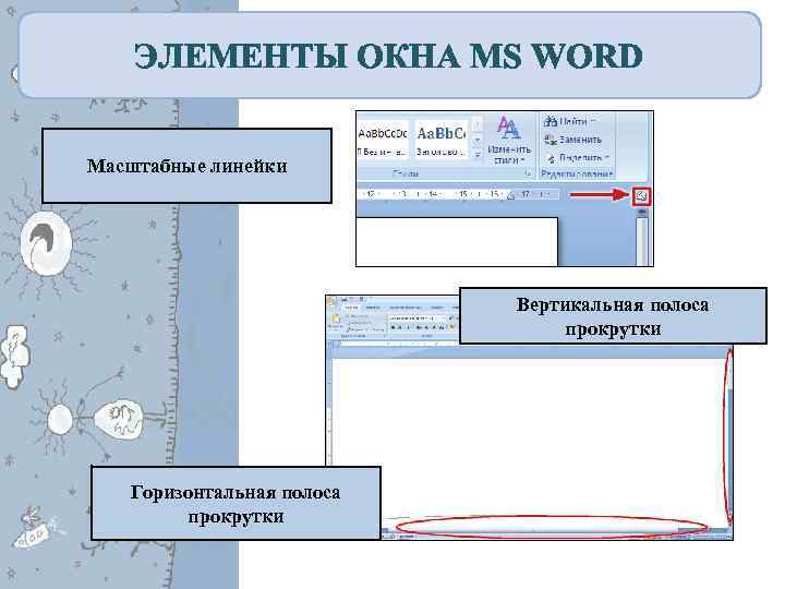 ЭЛЕМЕНТЫ ОКНА MS WORD Масштабные линейки Вертикальная полоса прокрутки Горизонтальная полоса прокрутки 