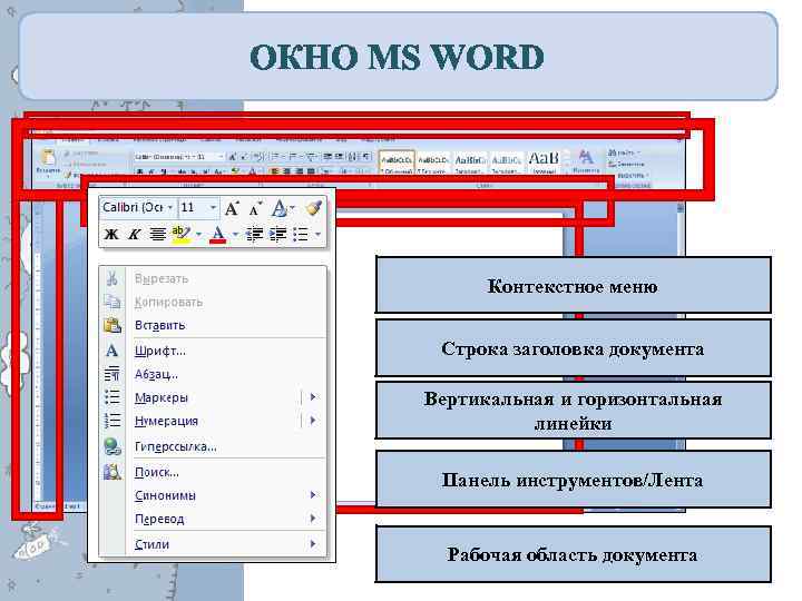 ОКНО MS WORD Контекстное меню Строка заголовка документа Вертикальная и горизонтальная линейки Панель инструментов/Лента