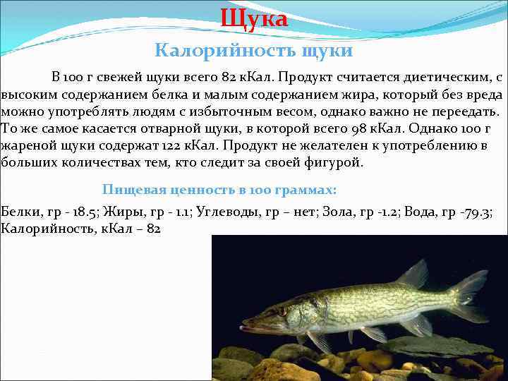 Щука Калорийность щуки В 100 г свежей щуки всего 82 к. Кал. Продукт считается