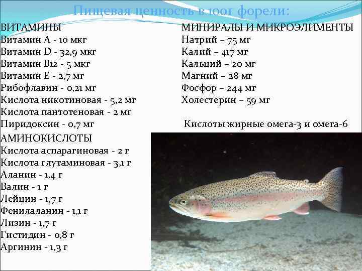 Пищевая ценность в 100 г форели: ВИТАМИНЫ Витамин А - 10 мкг Витамин D