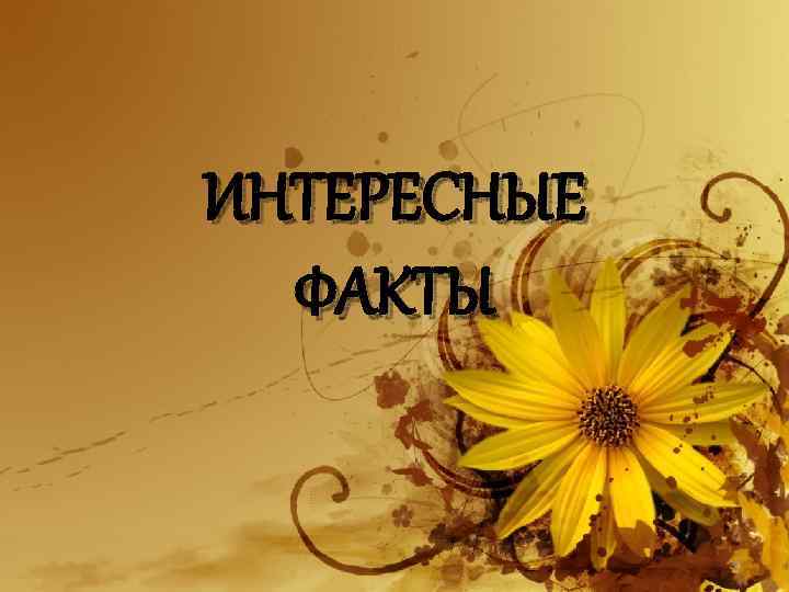ИНТЕРЕСНЫЕ ФАКТЫ 20 