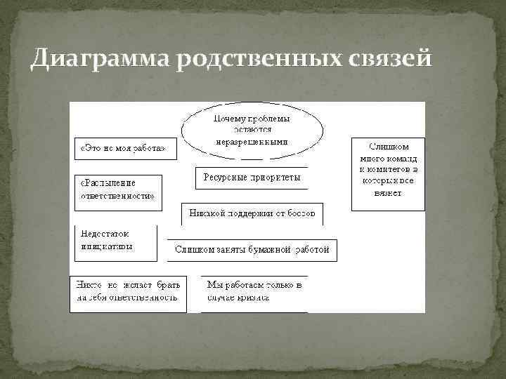 Диаграмма родственных связей 