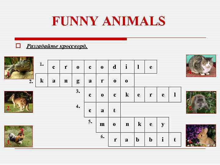 FUNNY ANIMALS o Разгадайте кроссворд. 1. k o c o d i a n