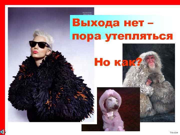 Выхода нет – пора утепляться Но как? Title slide 