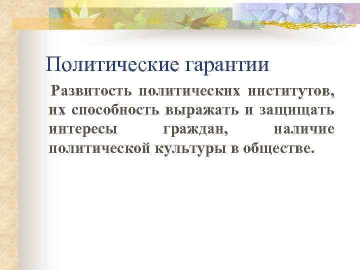 Политические гарантии. Политические гарантии гарантии. Политические гарантии граждан. Политические гарантии Обществознание.