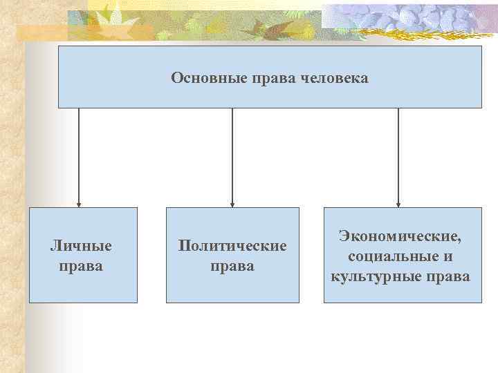 Основные права человека Личные права Политические права Экономические, социальные и культурные права 