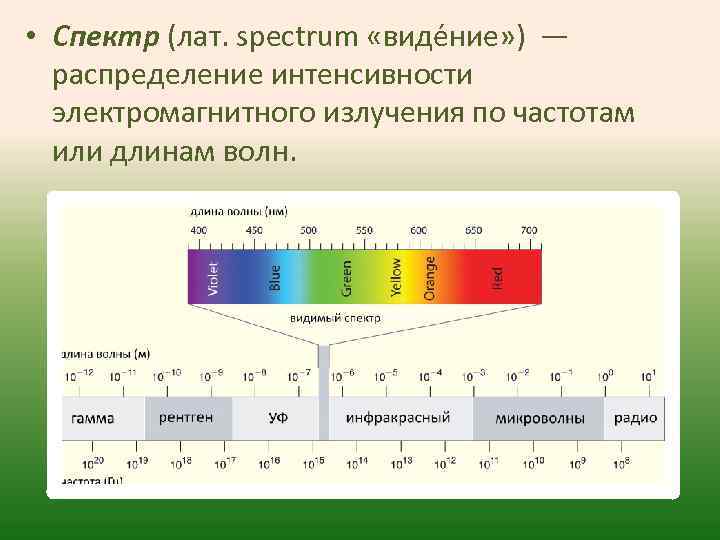  • Спектр (лат. spectrum «виде ние» ) — распределение интенсивности электромагнитного излучения по
