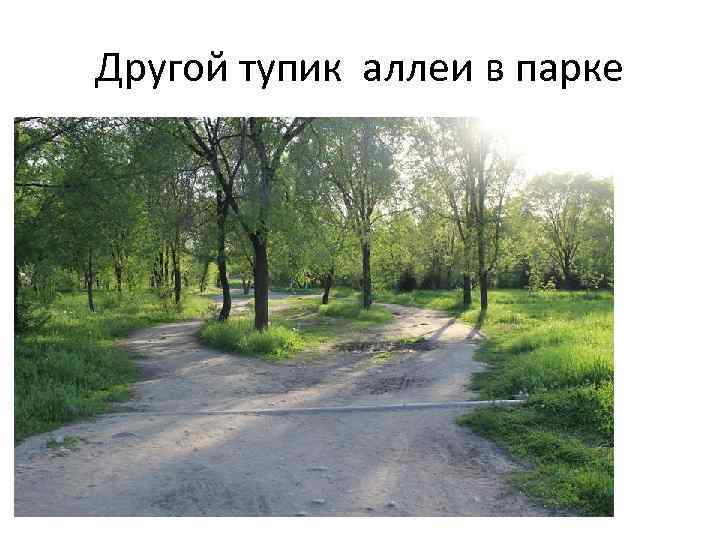 Другой тупик аллеи в парке 