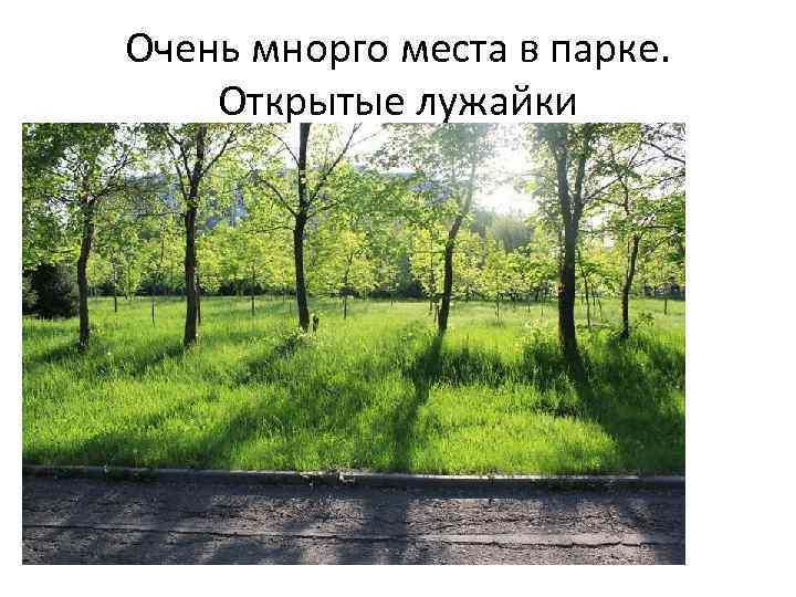Очень мнорго места в парке. Открытые лужайки 