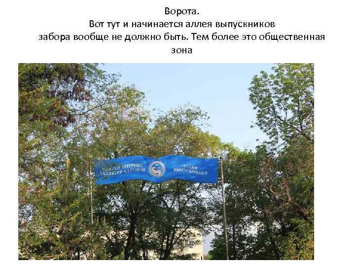 Ворота. Вот тут и начинается аллея выпускников забора вообще не должно быть. Тем более
