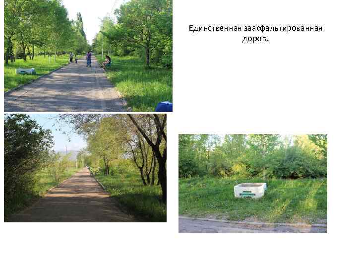 Единственная заасфальтированная дорога 