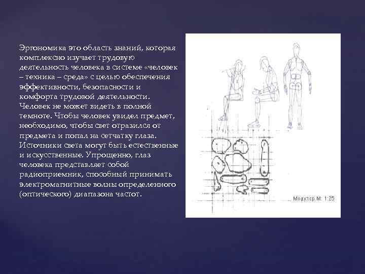 Эргономика это область знаний, которая комплексно изучает трудовую деятельность человека в системе «человек –