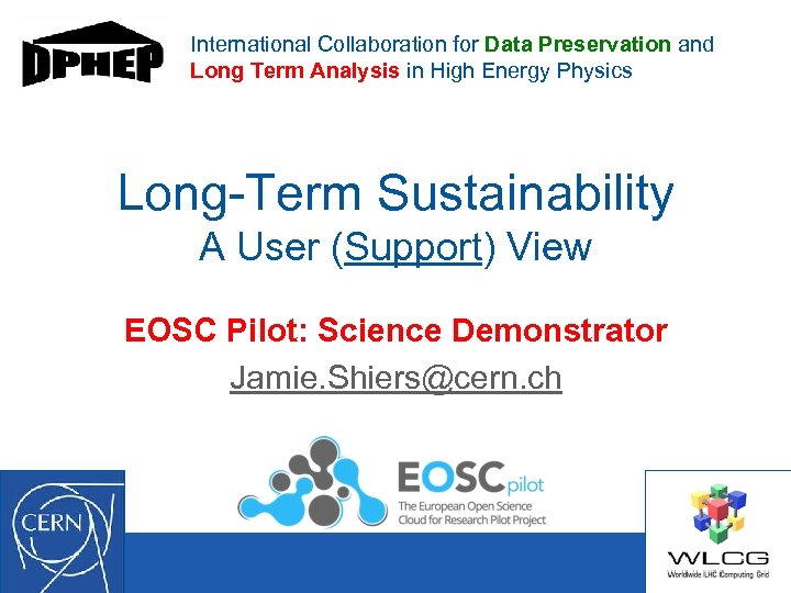 International Collaboration for Data Preservation and Long Term Analysis in High Energy Physics Long-Term