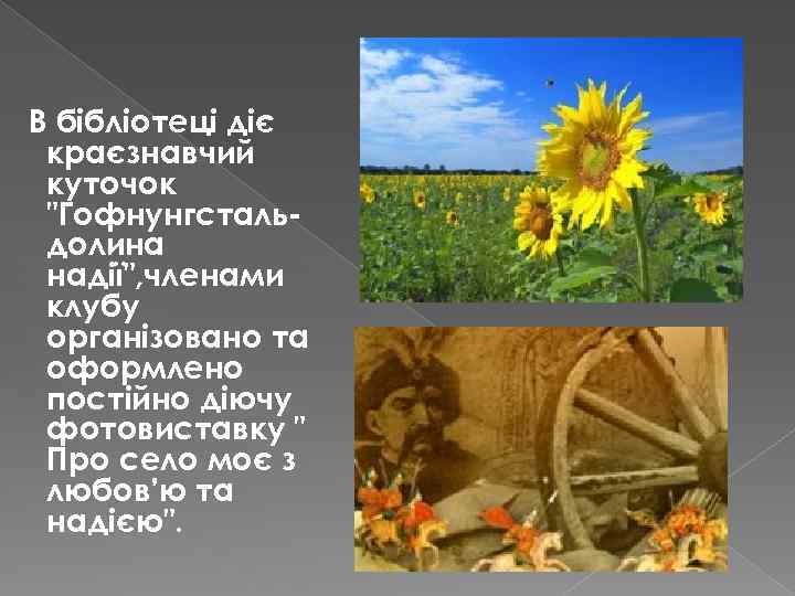  В бібліотеці діє краєзнавчий куточок "Гофнунгстальдолина надії", членами клубу організовано та оформлено постійно