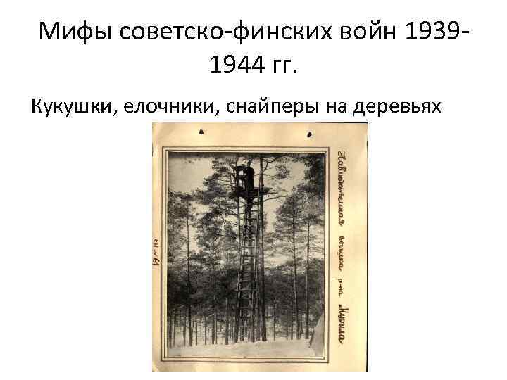 Мифы советско-финских войн 19391944 гг. Кукушки, елочники, снайперы на деревьях 