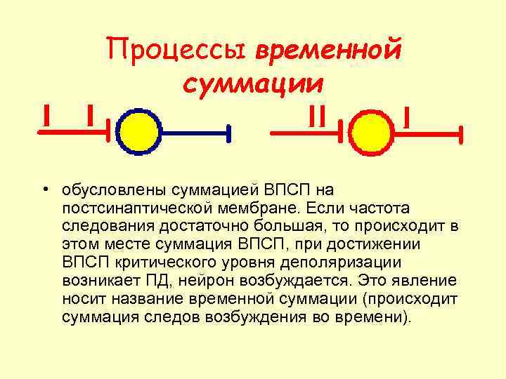 Процессы временной суммации • обусловлены суммацией ВПСП на постсинаптической мембране. Если частота следования достаточно