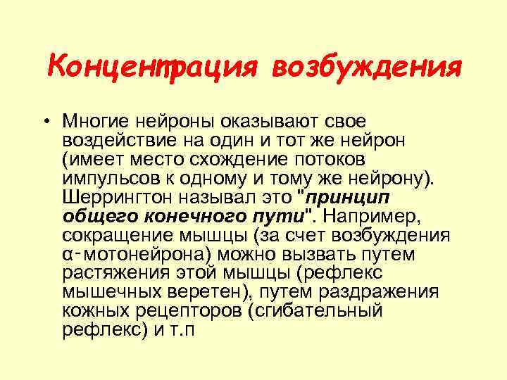 Концентрация возбуждения • Многие нейроны оказывают свое воздействие на один и тот же нейрон