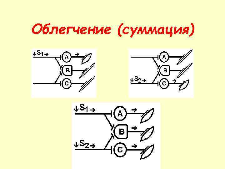 Облегчение (суммация) 