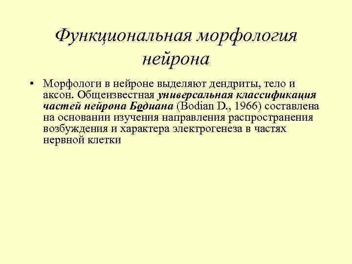 Функциональная морфология нейрона • Морфологи в нейроне выделяют дендриты, тело и аксон. Общеизвестная универсальная