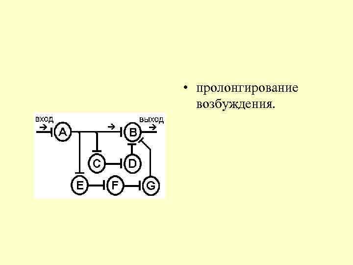  • пролонгирование возбуждения. 