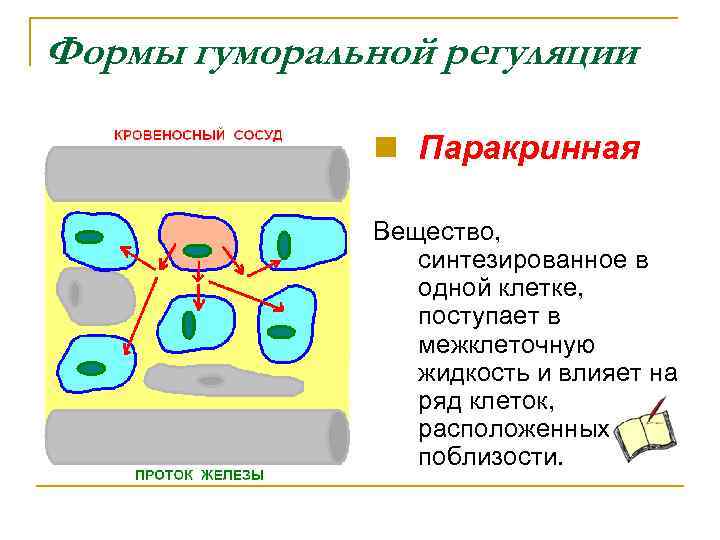 Ряд клеток