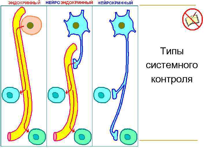 Типы системного контроля 