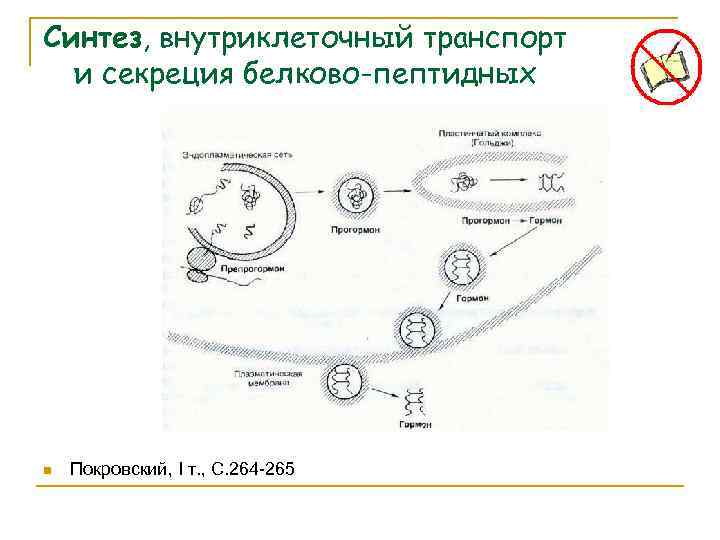 Синтез, внутриклеточный транспорт и секреция белково-пептидных гормонов n Покровский, I т. , С. 264