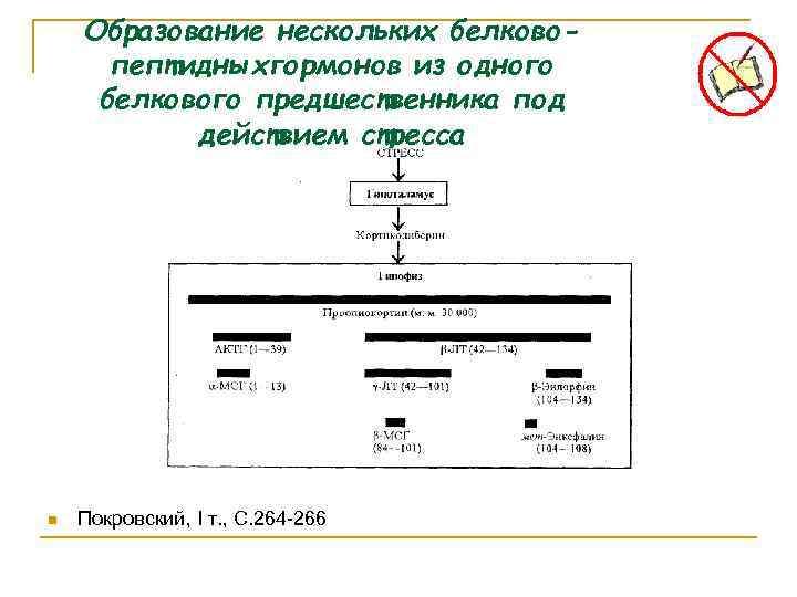 Образование нескольких белковопептидныхгормонов из одного белкового предшественника под действием стресса n Покровский, I т.