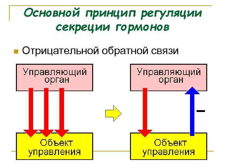 Гуморальная регуляция примеры