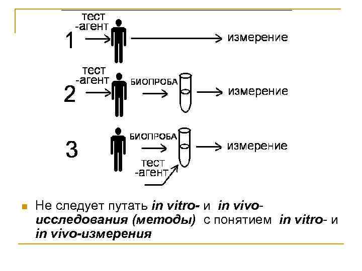 n Не следует путать in vitro- и in vivo исследования (методы) с понятием in