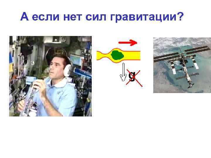А если нет сил гравитации? 