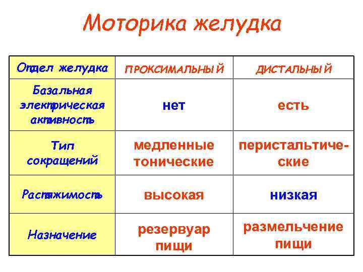 Моторика желудка Отдел желудка ПРОКСИМАЛЬНЫЙ ДИСТАЛЬНЫЙ Базальная электрическая активность нет есть Тип сокращений медленные