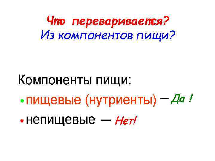 Что переваривается? Из компонентов пищи? 