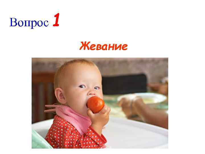 Вопрос 1 Жевание 