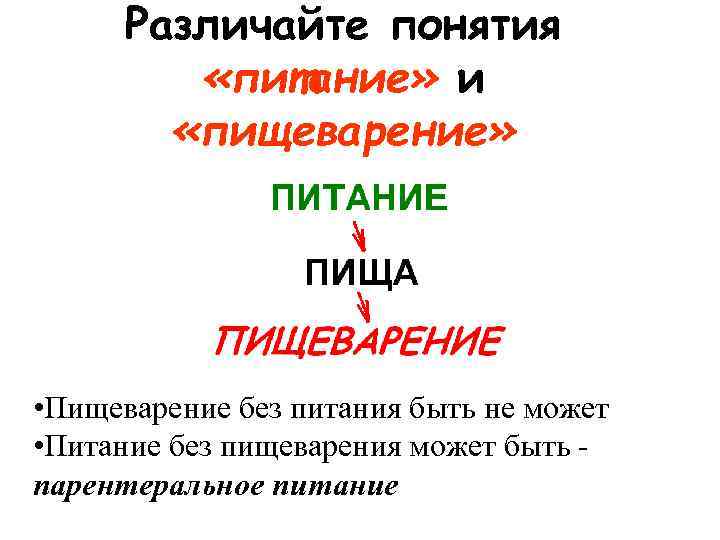Различайте понятия «питание» и «пищеварение» • Пищеварение без питания быть не может • Питание