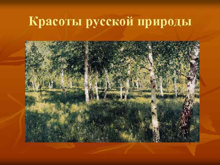 Красоты русской природы 
