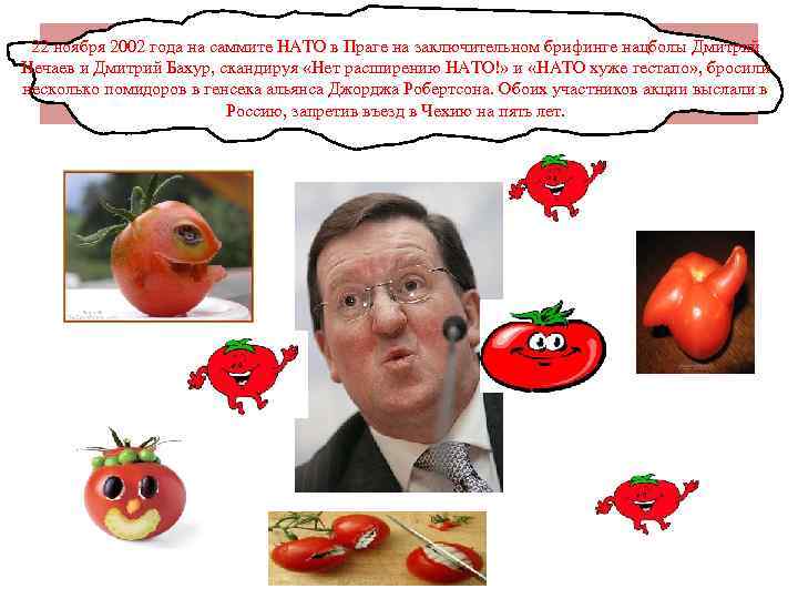 22 ноября 2002 года на саммите НАТО в Праге на заключительном брифинге нацболы Дмитрий