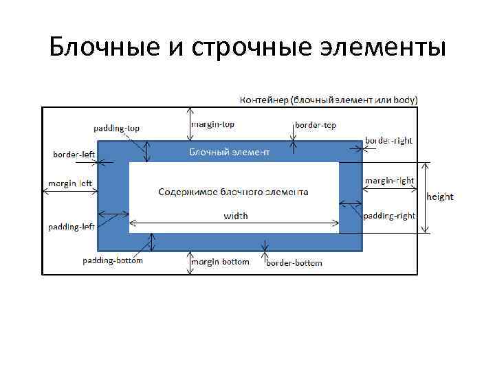 Блочные и строчные элементы 