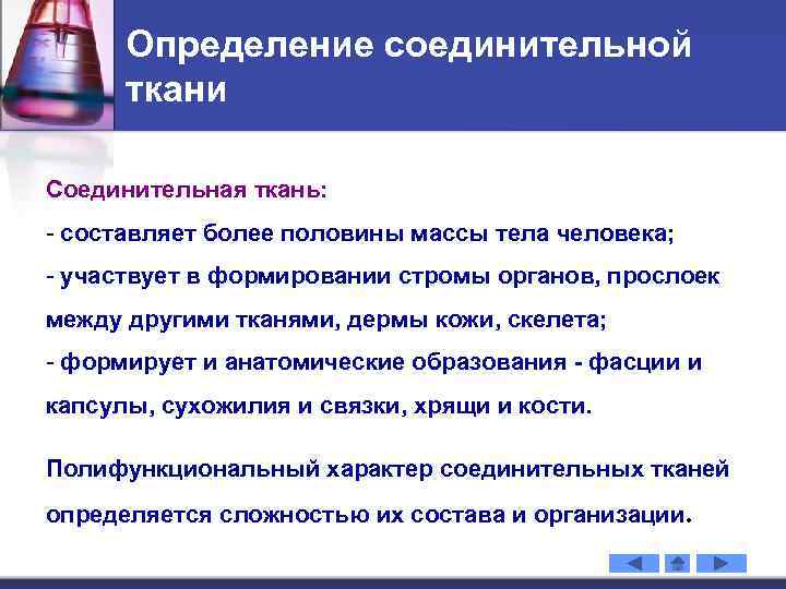 Определение соединительной ткани Соединительная ткань: - составляет более половины массы тела человека; - участвует