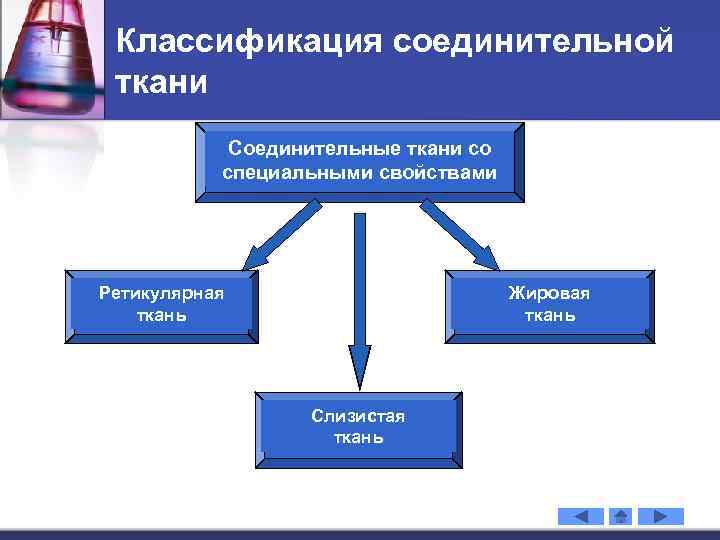 Классификация соединительной ткани Соединительные ткани со специальными свойствами Ретикулярная ткань Жировая ткань Слизистая ткань