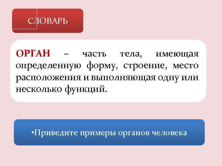 СЛОВАРЬ ОРГАН – часть тела, имеющая определенную форму, строение, место расположения и выполняющая одну