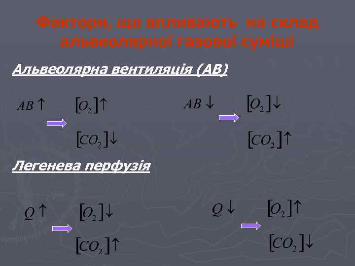 Фактори, що впливають на склад альвеолярної газової суміші Альвеолярна вентиляція (АВ) Легенева перфузія 