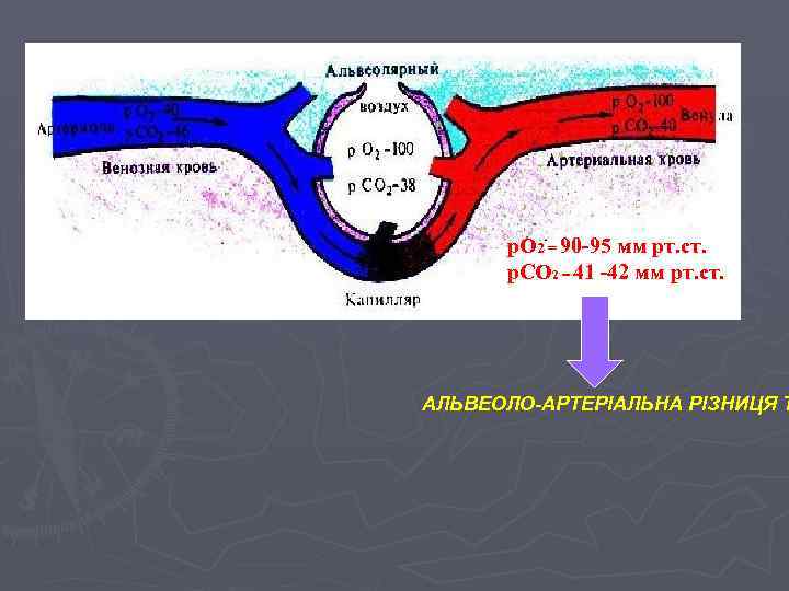 р. О 2 = 90 -95 мм рт. ст. р. СО 2 = 41