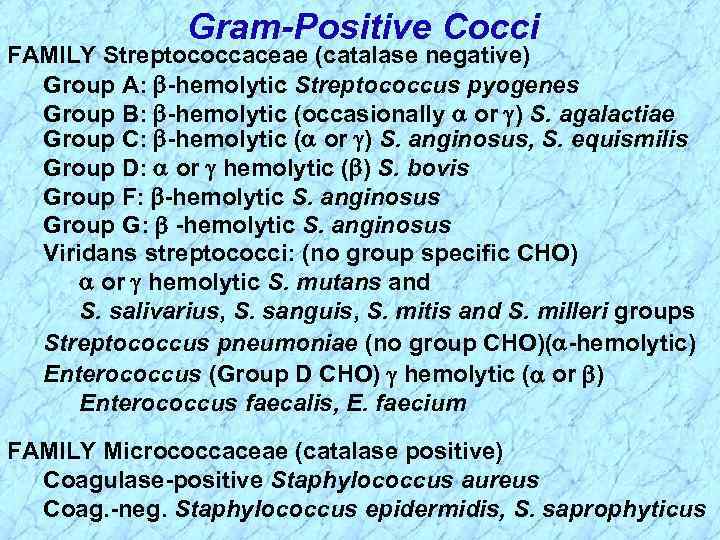 Gram-Positive Cocci FAMILY Streptococcaceae (catalase negative) Group A: -hemolytic Streptococcus pyogenes Group B: -hemolytic