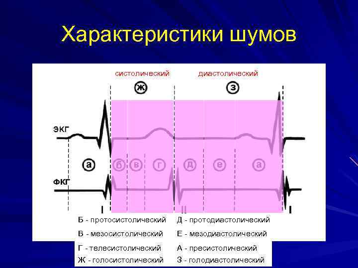 Характеристики шумов систолический диастолический Б - протосистолический Д - протодиастолический В - мезосистолический Е