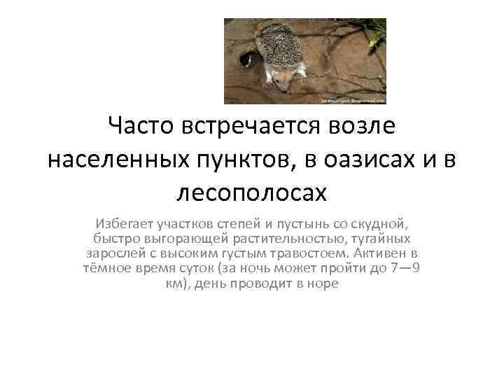 Часто встречается возле населенных пунктов, в оазисах и в лесополосах Избегает участков степей и