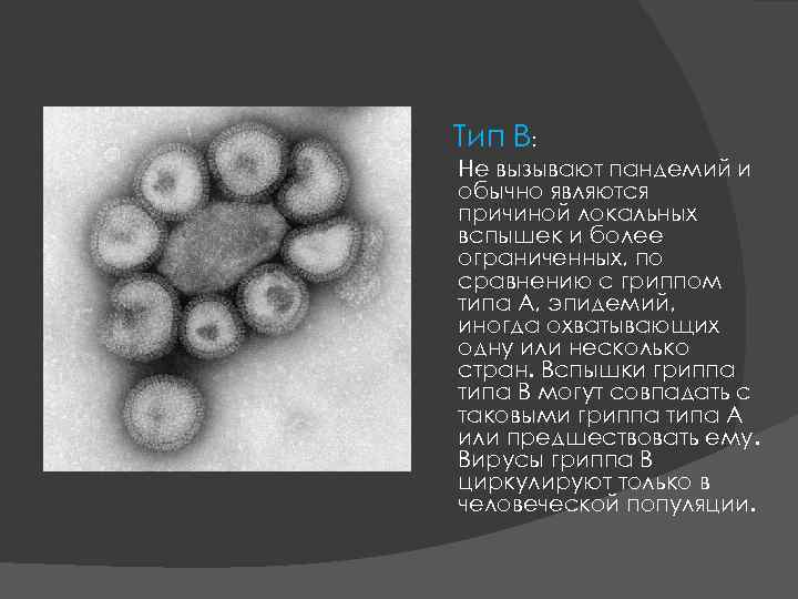 Тип В: Не вызывают пандемий и обычно являются причиной локальных вспышек и более ограниченных,